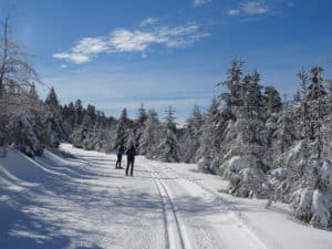 Abwechslungsreiche Aktivitäten während eines Urlaubs in den Bergen