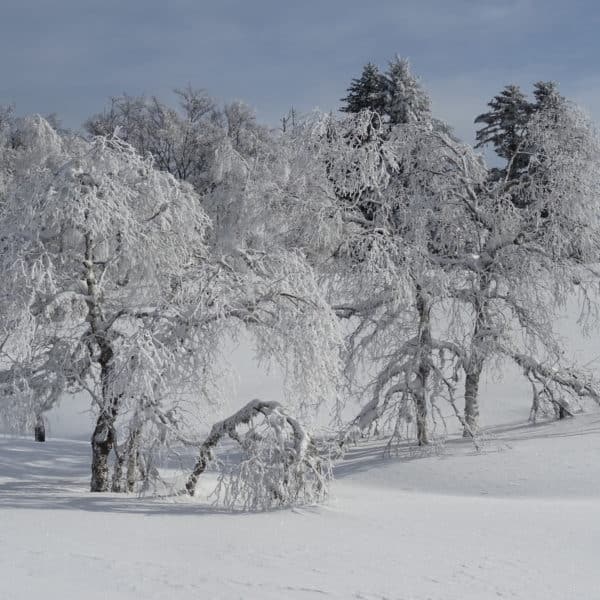 Kerstverhuur in Puy de Dôme