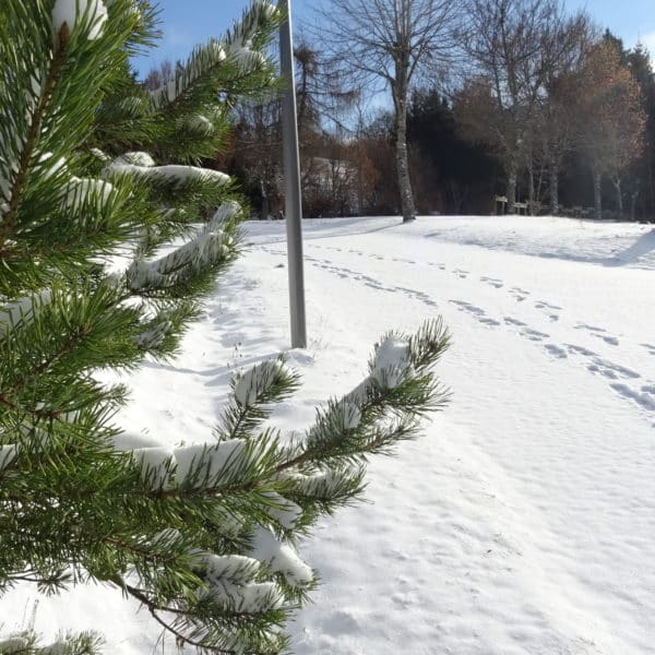 Cross-country skiing